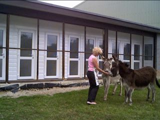 Rear View with our donkeys