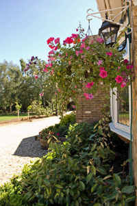 Patio and Office